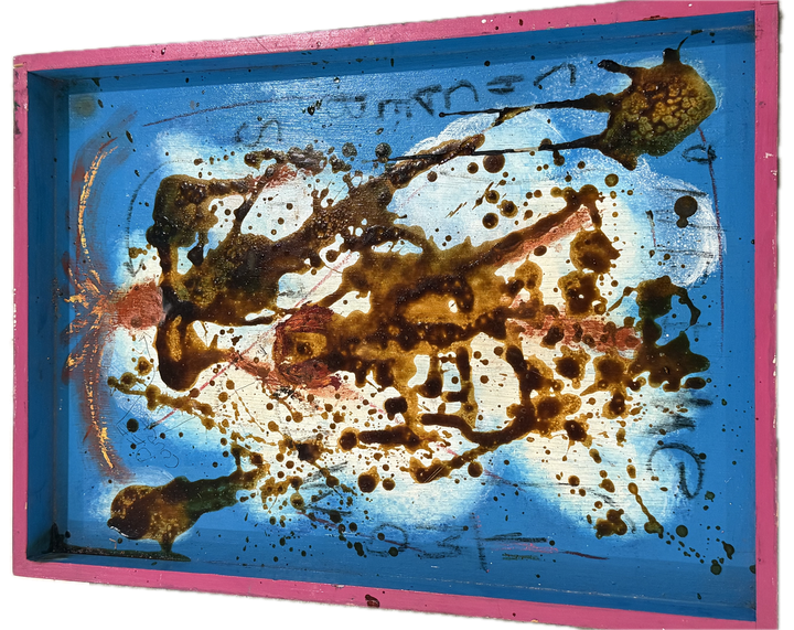 a shallow tray in blue with a pink rim, dark brown splashes over white